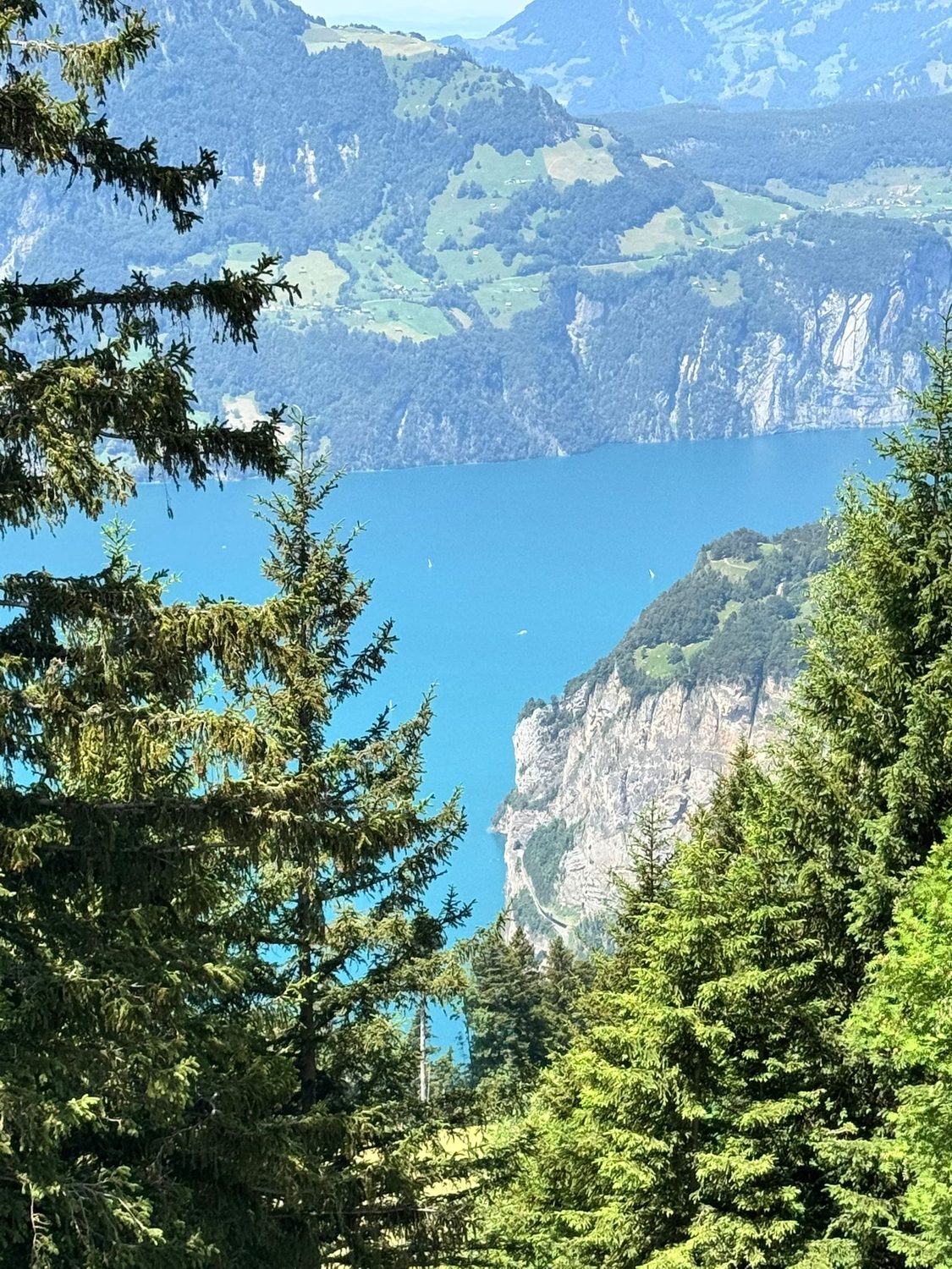 The Swiss alpine chalet setting